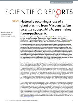 Naturally Occurring a Loss of a Giant Plasmid from Mycobacterium Ulcerans Subsp
