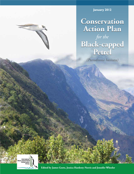 2012 Conservation Action Plan for the Black-Capped Petrel (Pterodroma Hasitata)