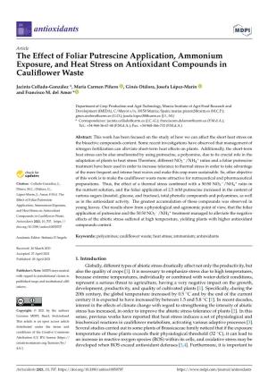 The Effect of Foliar Putrescine Application, Ammonium Exposure, and Heat Stress on Antioxidant Compounds in Cauliﬂower Waste