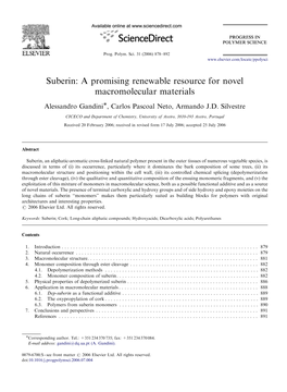 Suberin: a Promising Renewable Resource for Novel Macromolecular Materials