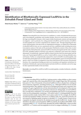 Identification of Rhythmically Expressed Lncrnas in the Zebrafish Pineal Gland and Testis