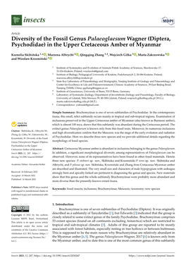 Diptera, Psychodidae) in the Upper Cretaceous Amber of Myanmar