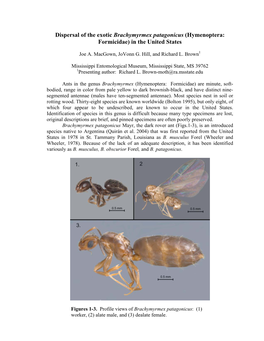 Dispersal of the Exotic Brachymyrmex Patagonicus (Hymenoptera: Formicidae) in the United States