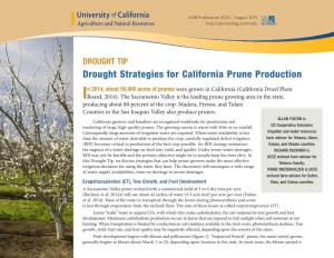 Drought Strategies for California Prune Production