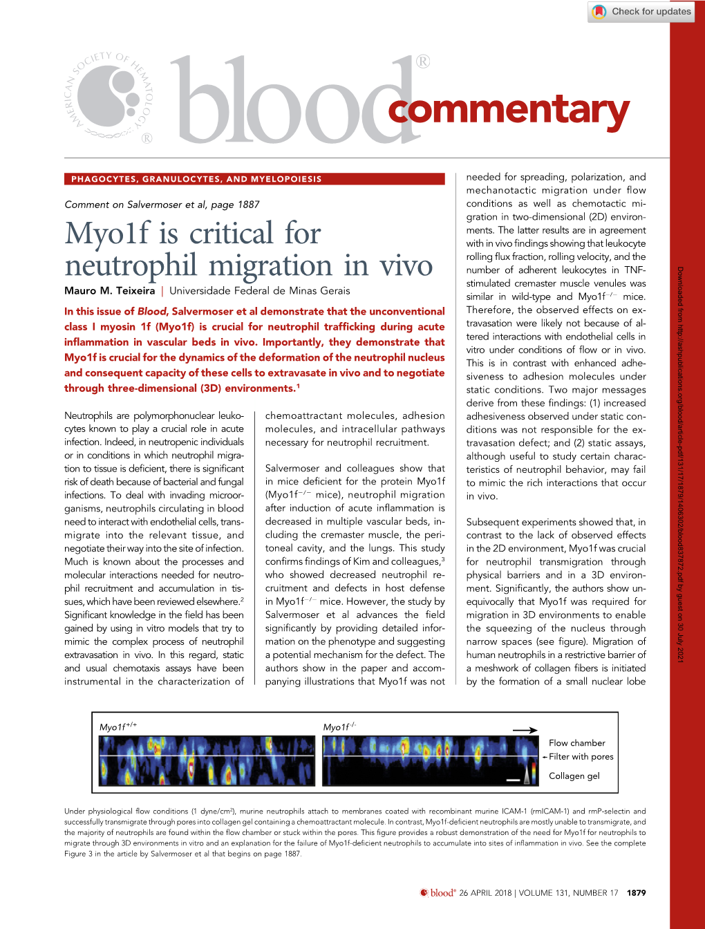 Myo1f Is Critical for Neutrophil Migration in Vivo