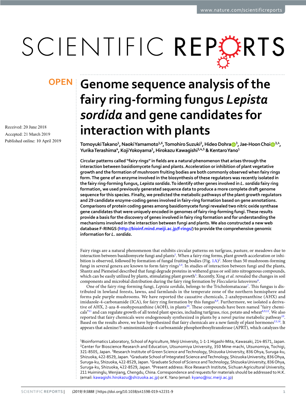 Genome Sequence Analysis of the Fairy Ring-Forming Fungus Lepista