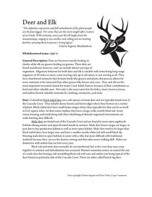 Deer and Elk “The Definitive Expression and Full Embodiment of the Plant People Are the Four Legged