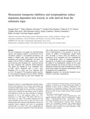 Monoamine Transporter Inhibitors and Norepinephrine Reduce Dopamine-Dependent Iron Toxicity in Cells Derived from the Substantia Nigra