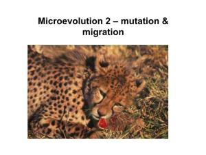 Microevolution 2 – Mutation & Migration