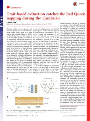 Trait-Based Extinction Catches the Red Queen Napping During the Cambrian P