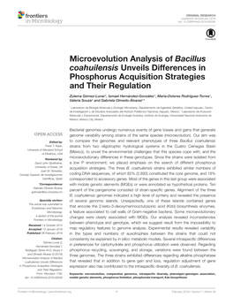 Microevolution Analysis of Bacillus Coahuilensis Unveils Differences in Phosphorus Acquisition Strategies and Their Regulation