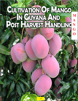 Mango (Mangifera Indica), Which Belongs to the Family Anacardiaceae Is One of the Most Important M Fruit Crops in Guyana