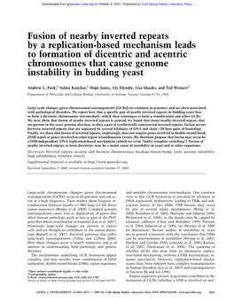 Fusion of Nearby Inverted Repeats by a Replication-Based Mechanism