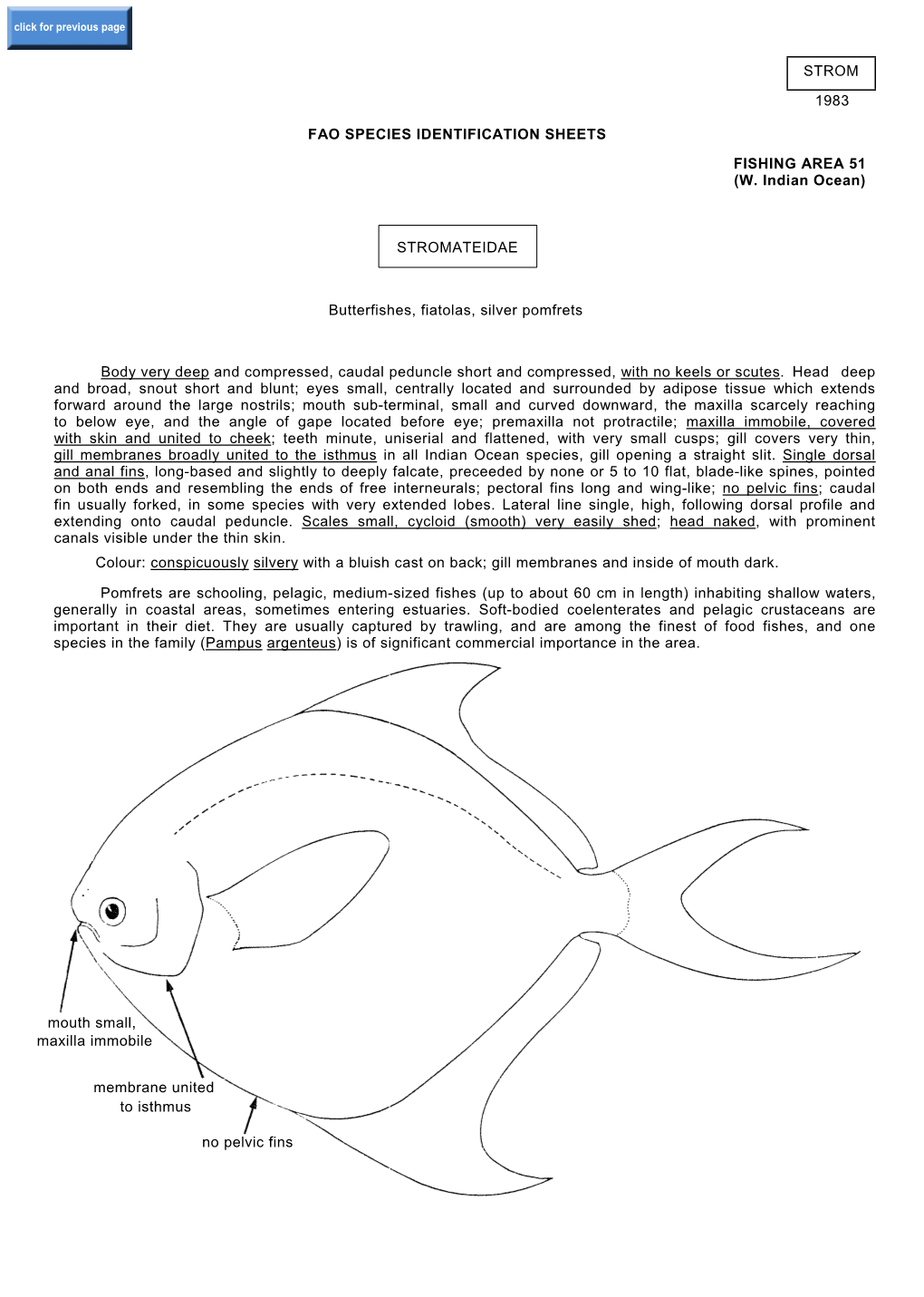 Strom 1983 Fao Species Identification Sheets