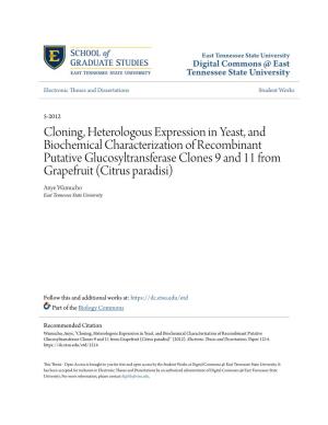 Cloning, Heterologous Expression in Yeast, and Biochemical