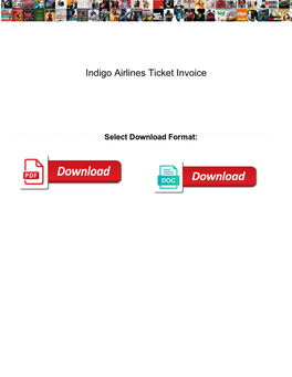 Indigo Airlines Ticket Invoice