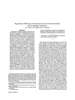 Reproductive Efficiency in Reciprocal Crosses of Arachis Monticoza with A