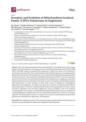 Inventory and Evolution of Mitochondrion-Localized Family a DNA Polymerases in Euglenozoa