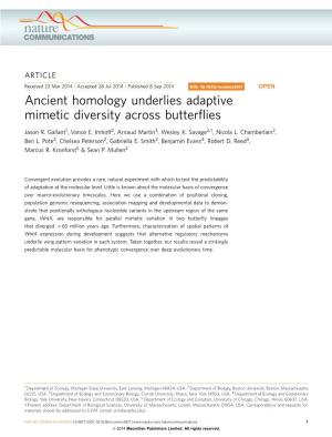 Ancient Homology Underlies Adaptive Mimetic Diversity Across Butterflies