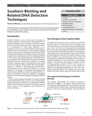 Southern Blotting and Related DNA Detection Techniques