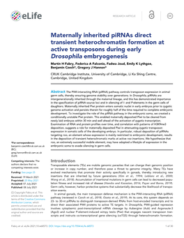 Maternally Inherited Pirnas Direct Transient Heterochromatin Formation