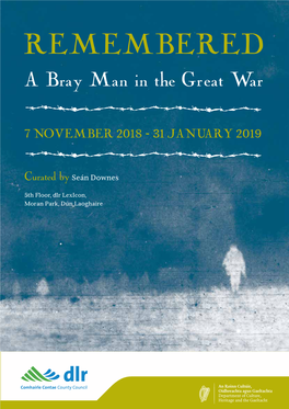 Remembered a Bray Man in the Great War