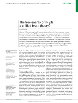 The Free-Energy Principle: a Unified Brain Theory?