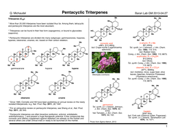 Pentacyclic Triterpenes Baran Lab GM 2013-04-27