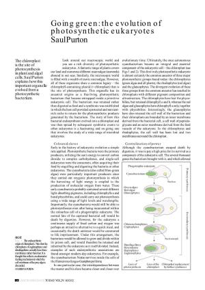Going Green: the Evolution of Photosynthetic Eukaryotes Saul Purton