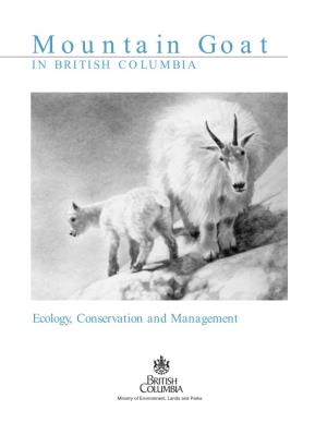 Mountain Goat in BRITISH COLUMBIA