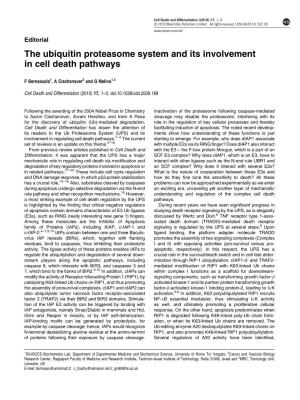 The Ubiquitin Proteasome System and Its Involvement in Cell Death Pathways