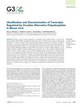 Identification and Characterization of Transcripts Regulated by Circadian