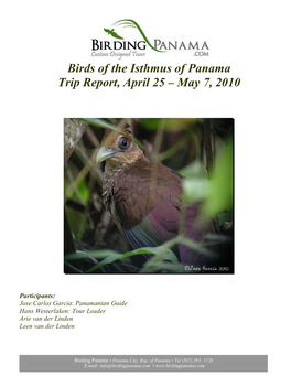 Birding Panama Tours