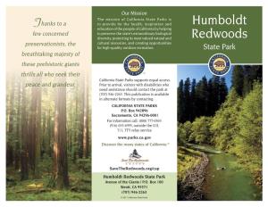 Humboldt Redwoods State Park's