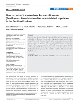 New Records of the Snow Bass Serranus Chionaraia (Perciformes: Serranidae) Confirm an Established Population in the Brazilian Province
