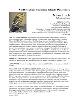 Nihoa Finch Telespiza Ultima