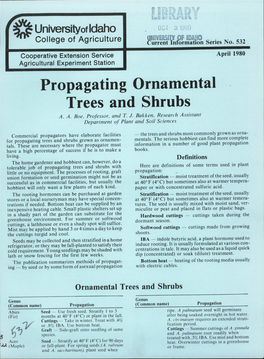 Propagating Ornamental Trees and Shrubs A