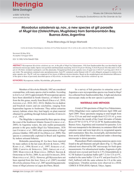 Myxobolus Saladensis Sp. Nov., a New Species of Gill Parasite of Mugil Liza (Osteichthyes, Mugilidae) from Samborombón Bay, Buenos Aires, Argentina