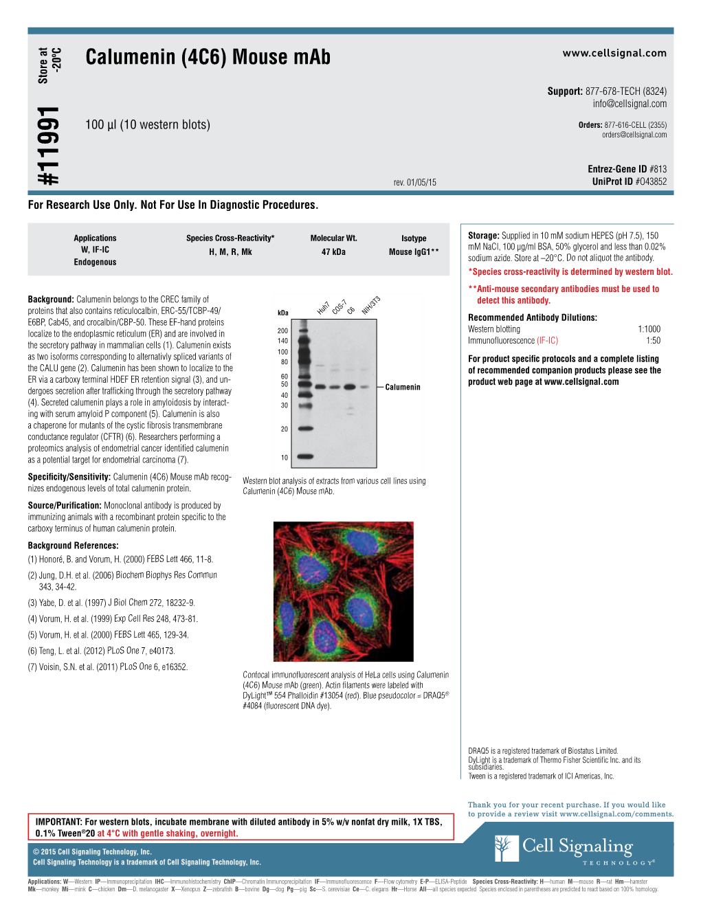 Calumenin (4C6) Mouse Mab - 20ºC Store at Support: 877-678-TECH (8324) Info@Cellsignal.Com