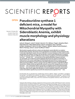 Pseudouridine Synthase 1 Deficient Mice, a Model for Mitochondrial Myopathy with Sideroblastic Anemia, Exhibit Muscle Morphology and Physiology Alterations
