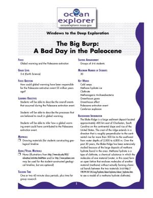 A Bad Day in the Paleocene