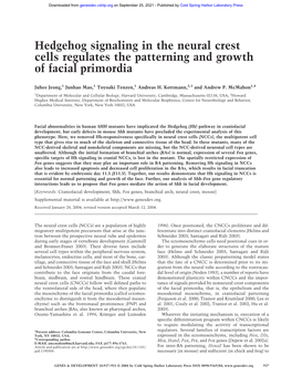 Hedgehog Signaling in the Neural Crest Cells Regulates the Patterning and Growth of Facial Primordia