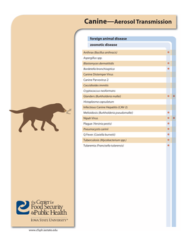 Canine Disease Exposure Routes