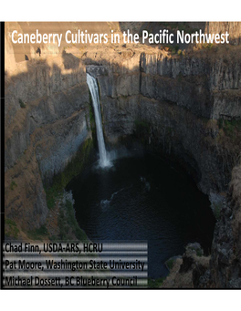 Caneberry Cultivars in the Pacific Northwest