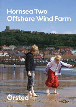 Hornsea Two Offshore Wind Farm Ørsted