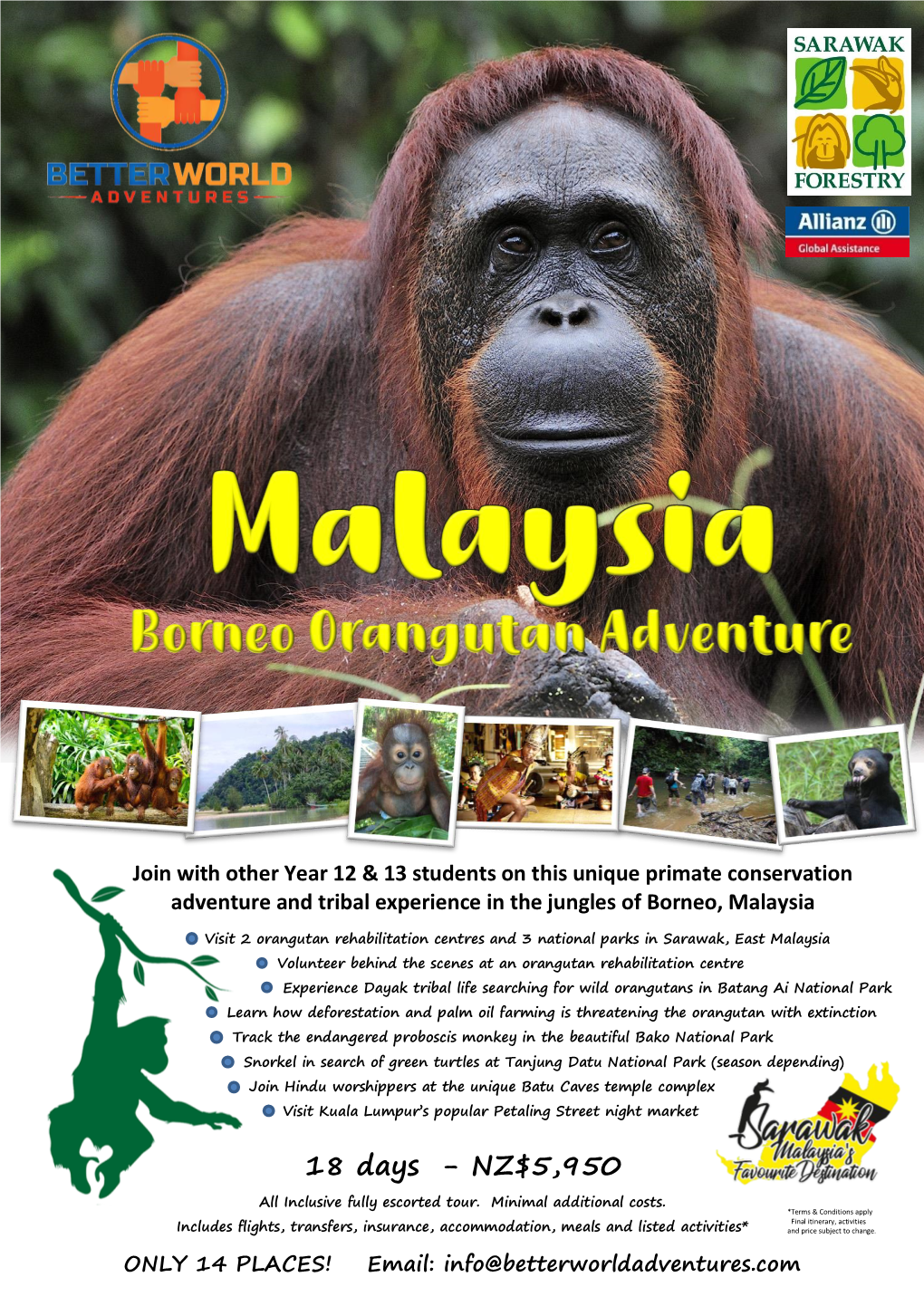Borneo Orangutan Adventure Itinerary*