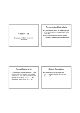 Chapter Two Consumption Choice Sets Budget Constraints Budget
