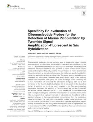 Specificity Re-Evaluation of Oligonucleotide Probes for the Detection of Marine Picoplankton by Tyramide Signal Amplification-Fl
