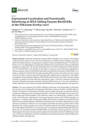 Expressional Localization and Functionally Identifying an RNA Editing Enzyme Bmadara of the Silkworm Bombyx Mori