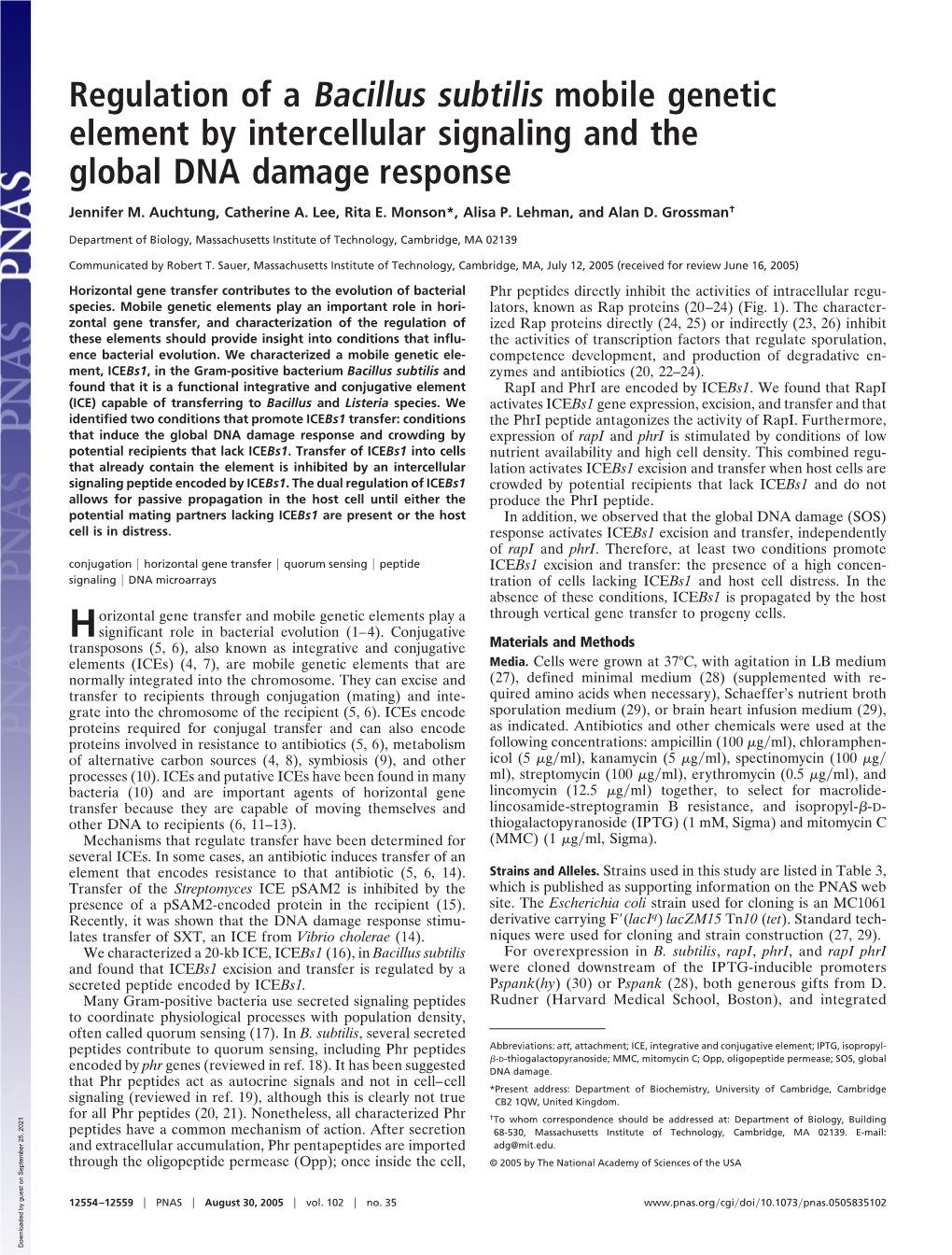 Regulation of a Bacillus Subtilis Mobile Genetic Element by Intercellular Signaling and the Global DNA Damage Response